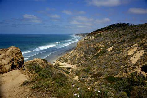 Torrey Pines State Natural Reserve: A Sanctuary for Nature Lovers