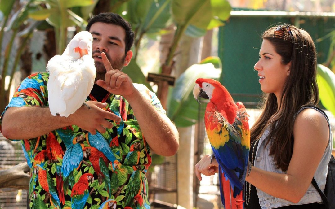 Free Flight Exotic Bird Sanctuary: A Tropical Oasis for Parrot Lovers