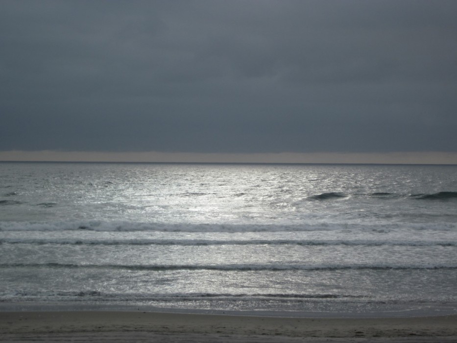 Del Mar City Beach in Del Mar, CA