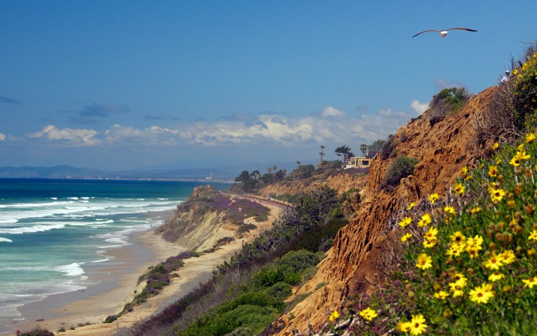 Thanksgiving in Del Mar: Your Guide to a Coastal Holiday Getaway