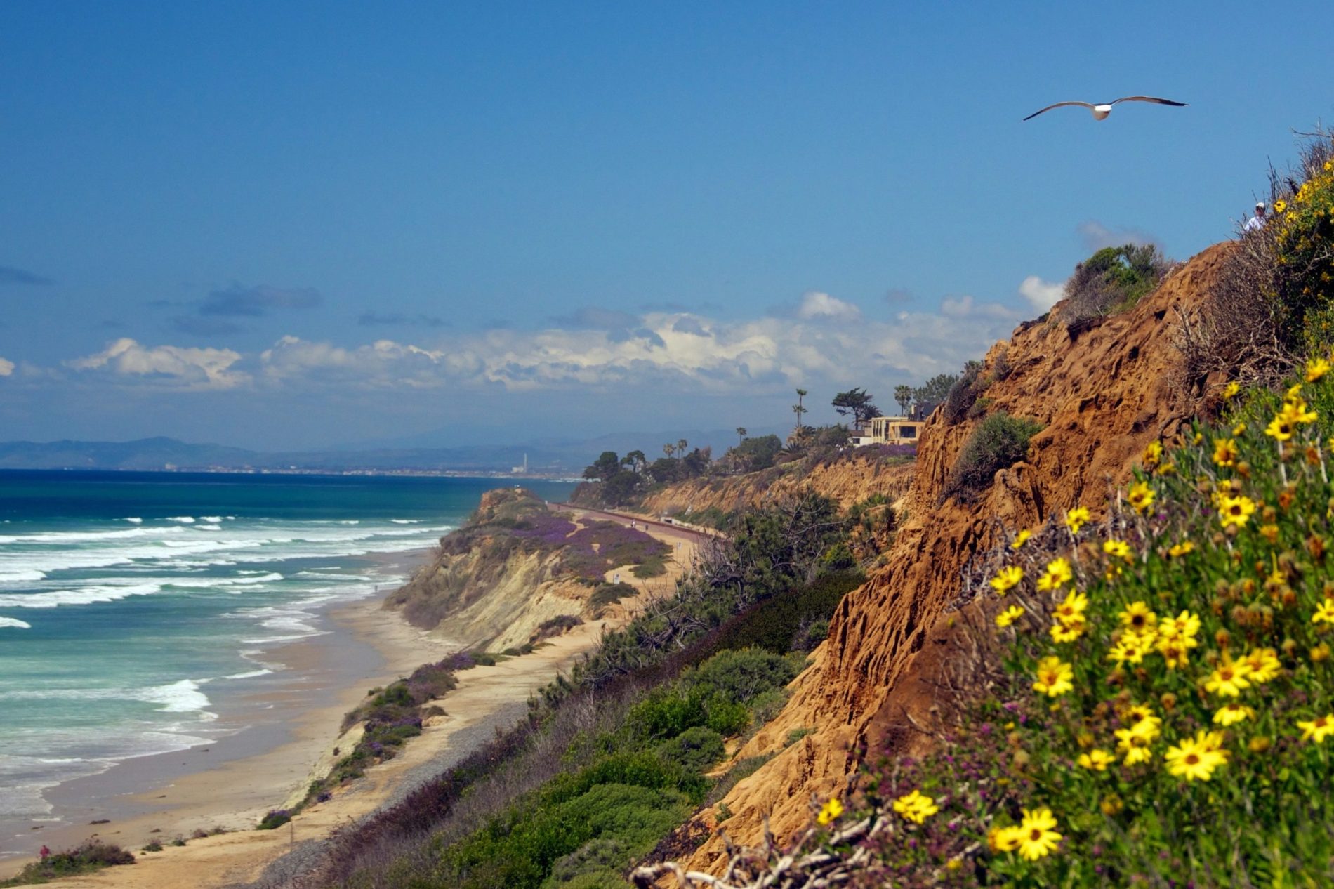 Thanksgiving in Del Mar: Your Guide to a Coastal Holiday Getaway